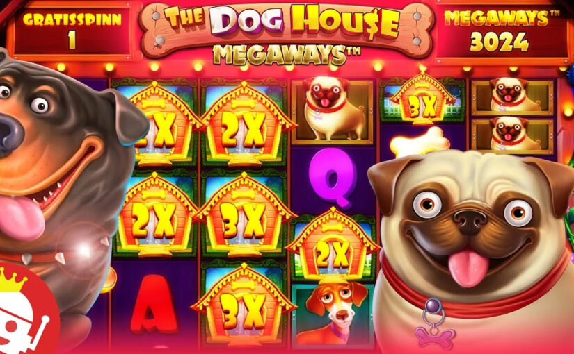 The Dog House: Slot Penuh Kejutan dan Kegembiraan dari Pragmatic Play
